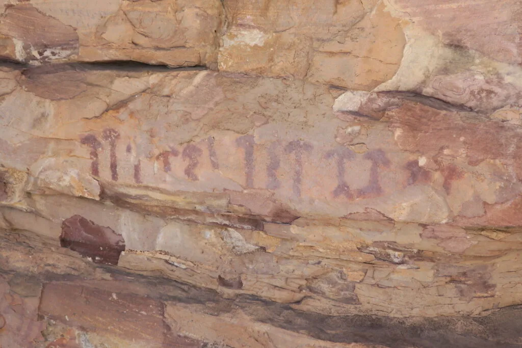 Mur de la Grotte Selva Pascuala, Espagne (Détail)