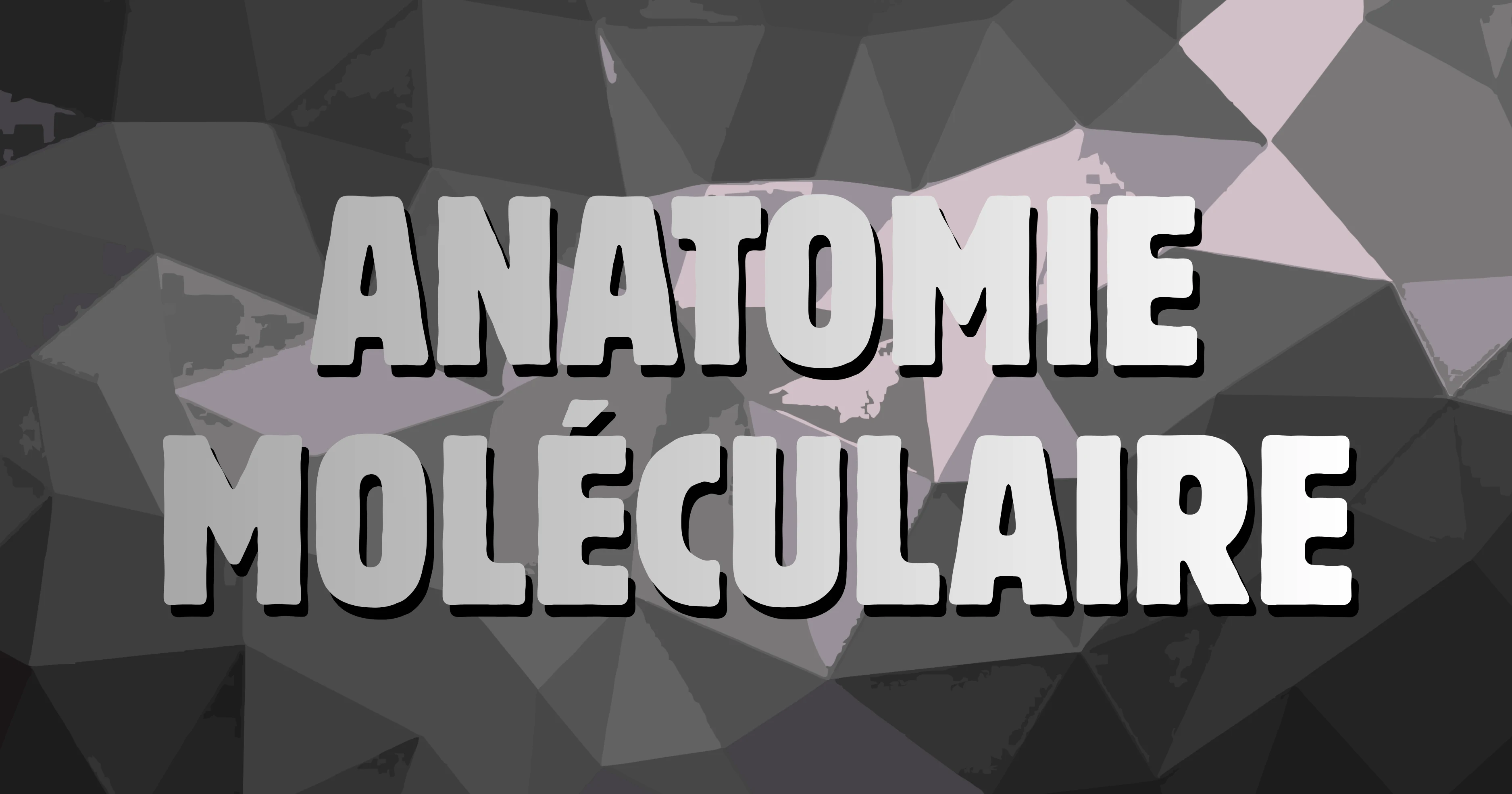 Illustration de l’anatomie moléculaire DRUGZ